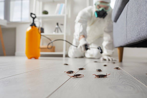 Commercial Kitchen Cockroach Control in Mentor-on-the-Lake